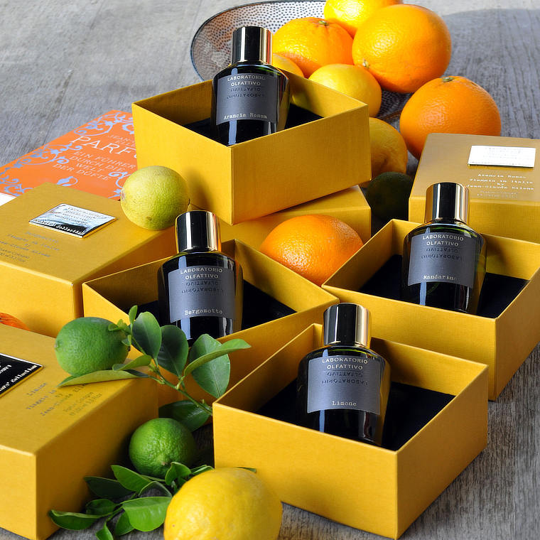 Auswahl an Parfums passend zum Thema der Kolumne