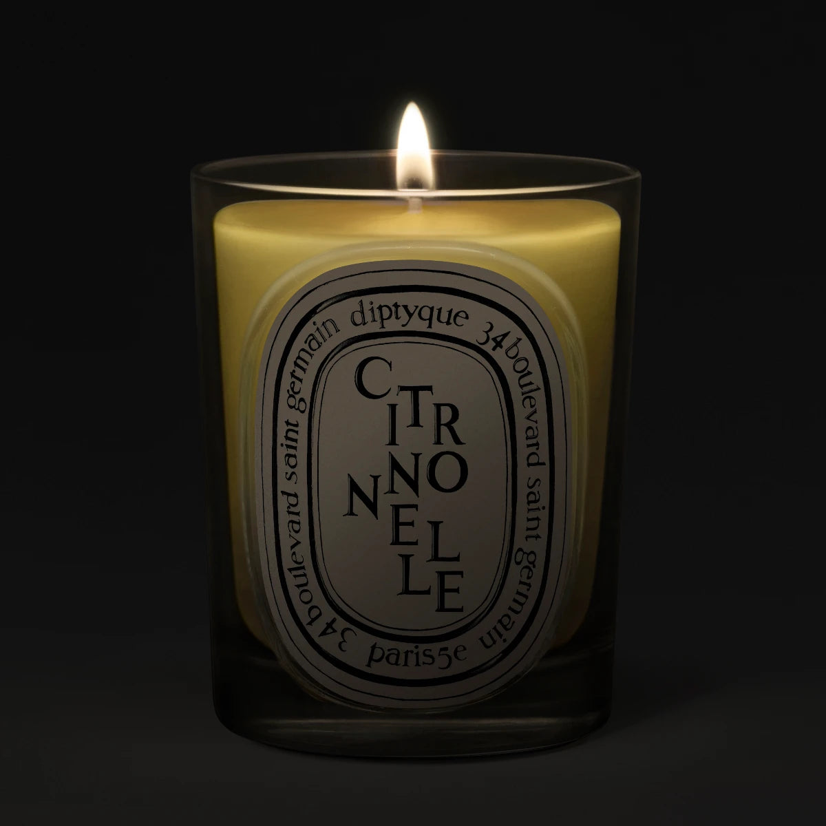 DIPTYQUE - Citronnelle - Scented Candle