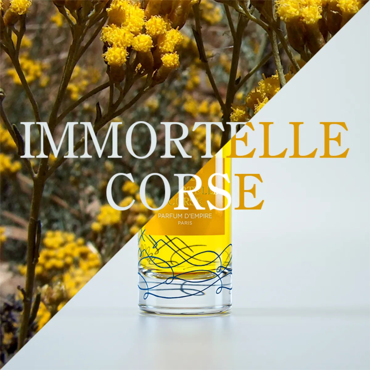 Parfum d'Empire - Immortelle Corse Flakon mit gelbem Duftöl vor Hintergrund mit leuchtend gelben Immortelle-Blüten