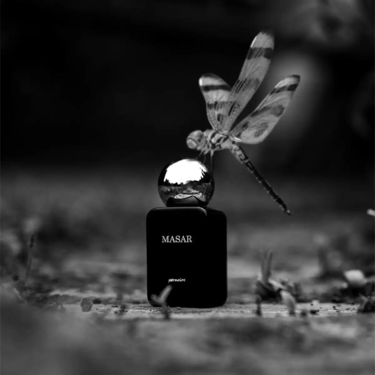 Pernoire - Anima Collection - Masar