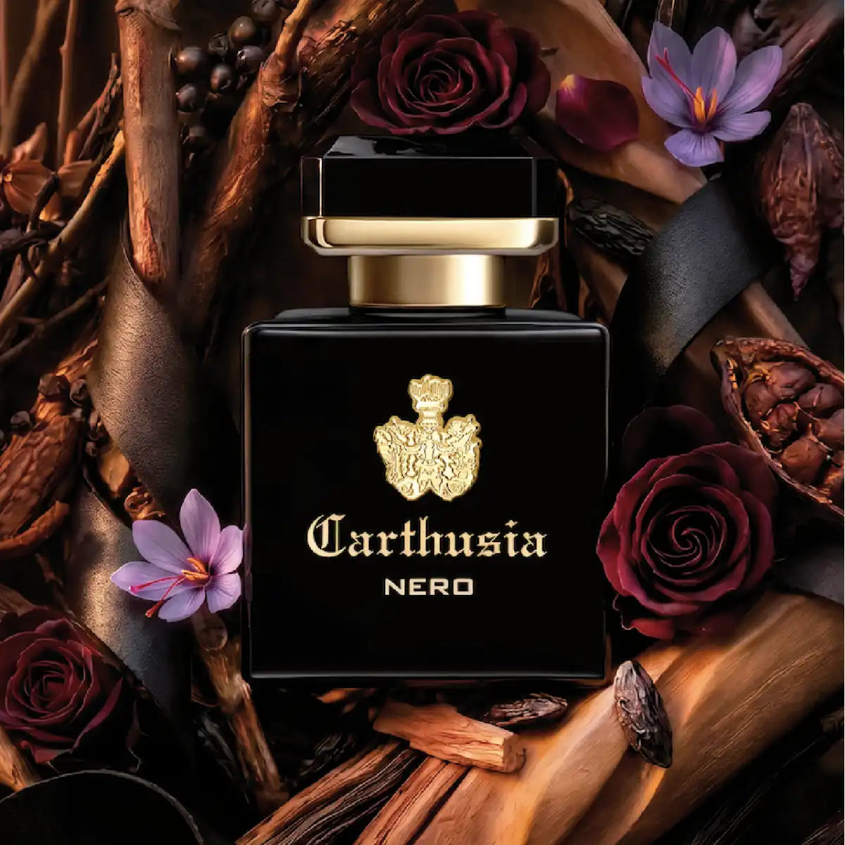 Carthusia - Intenso Collection - Nero