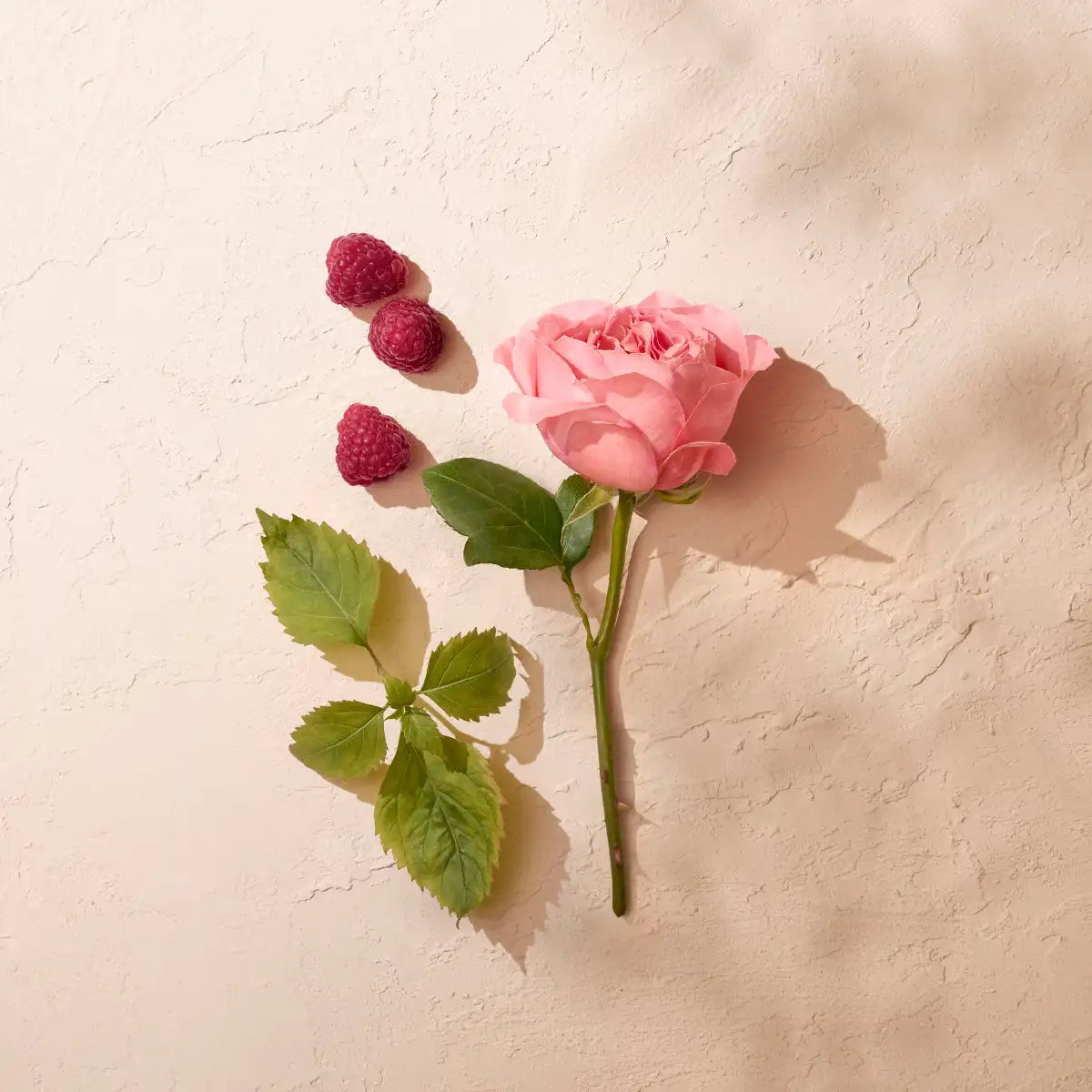 Annick Goutal - Rose Pompon