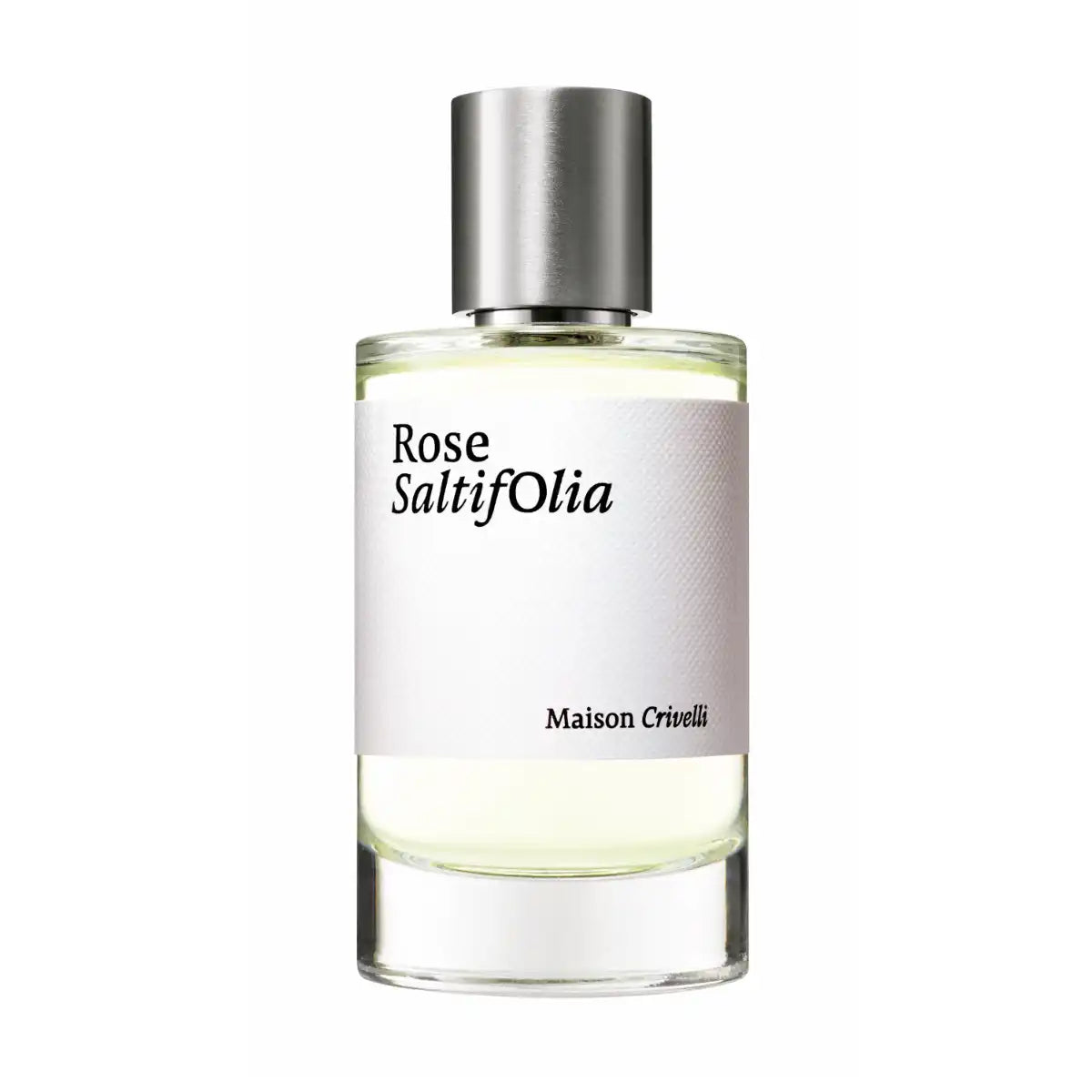Maison Crivelli - Rose Saltifolia
