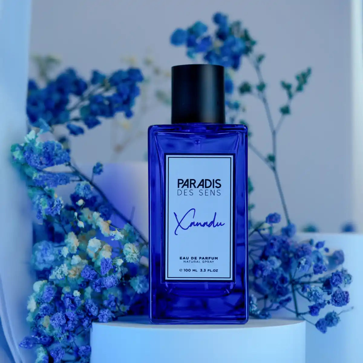 Paradis Des Sens - Awakening Sensations - Xanadu