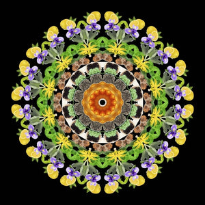 Eau De Moe - Amal Mandala aus gelben und violetten Blüten mit grünen Blättern vor schwarzem Hintergrund