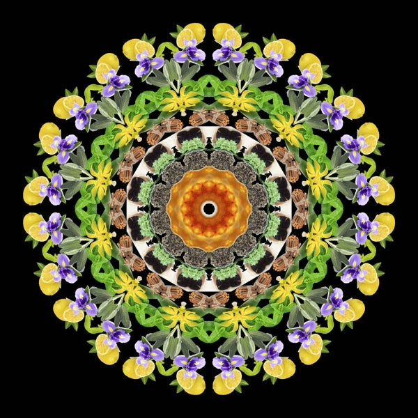Eau De Moe - Amal Mandala aus gelben und violetten Blüten mit grünen Blättern vor schwarzem Hintergrund