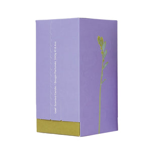 Paul Smith - Leaf - Duftkerze Verpackung in zartem Fliederton mit grünem Blattmotiv und edlem Design